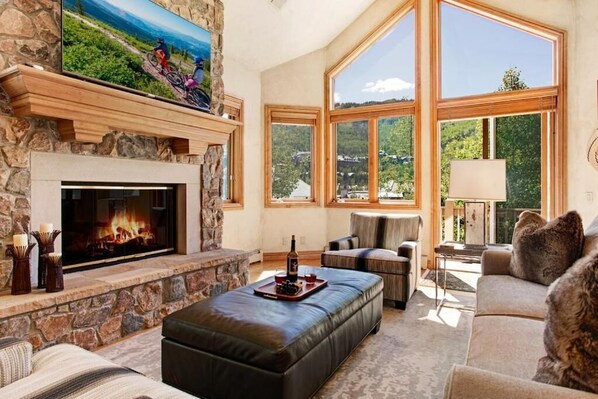 Smart TV, chimenea y libros 