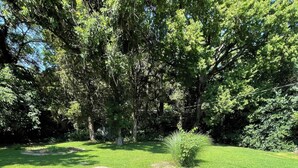 A well-maintained grassy area with stepping stones leading through it, surrounded by trees.