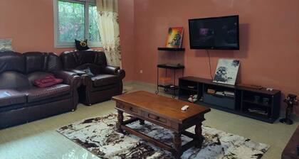 Spacious 2BR/2BA Modern Apartment