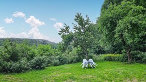 Uma área gramada com algumas cadeiras de plástico e uma mesa, cercada por vegetação densa e árvores.