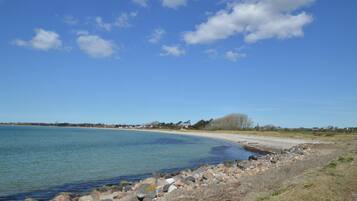 Tæt på stranden, fiskeri