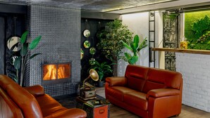 Un salón acogedor con chimenea, sofás de cuero y una variedad de plantas.
