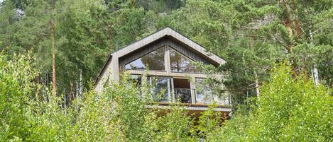 A cabin surrounded by dense forest.