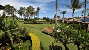 A well-maintained garden with palm trees, a neatly trimmed lawn, and a pathway leading to a building with solar panels. - Ocean and golf course views! (Waikoloa Village)