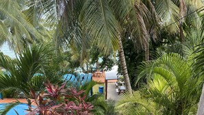 Una escalera de concreto rodeada de exuberante vegetación tropical que conduce a un espacio al aire libre cubierto con sillas y mesas azules.