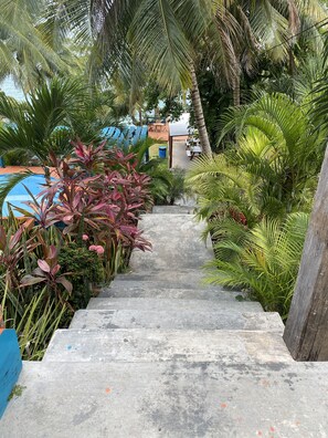 Exterior - Blue b7 departamentos (Bacalar)