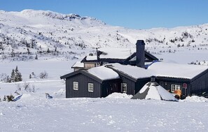 Ulkopuoli