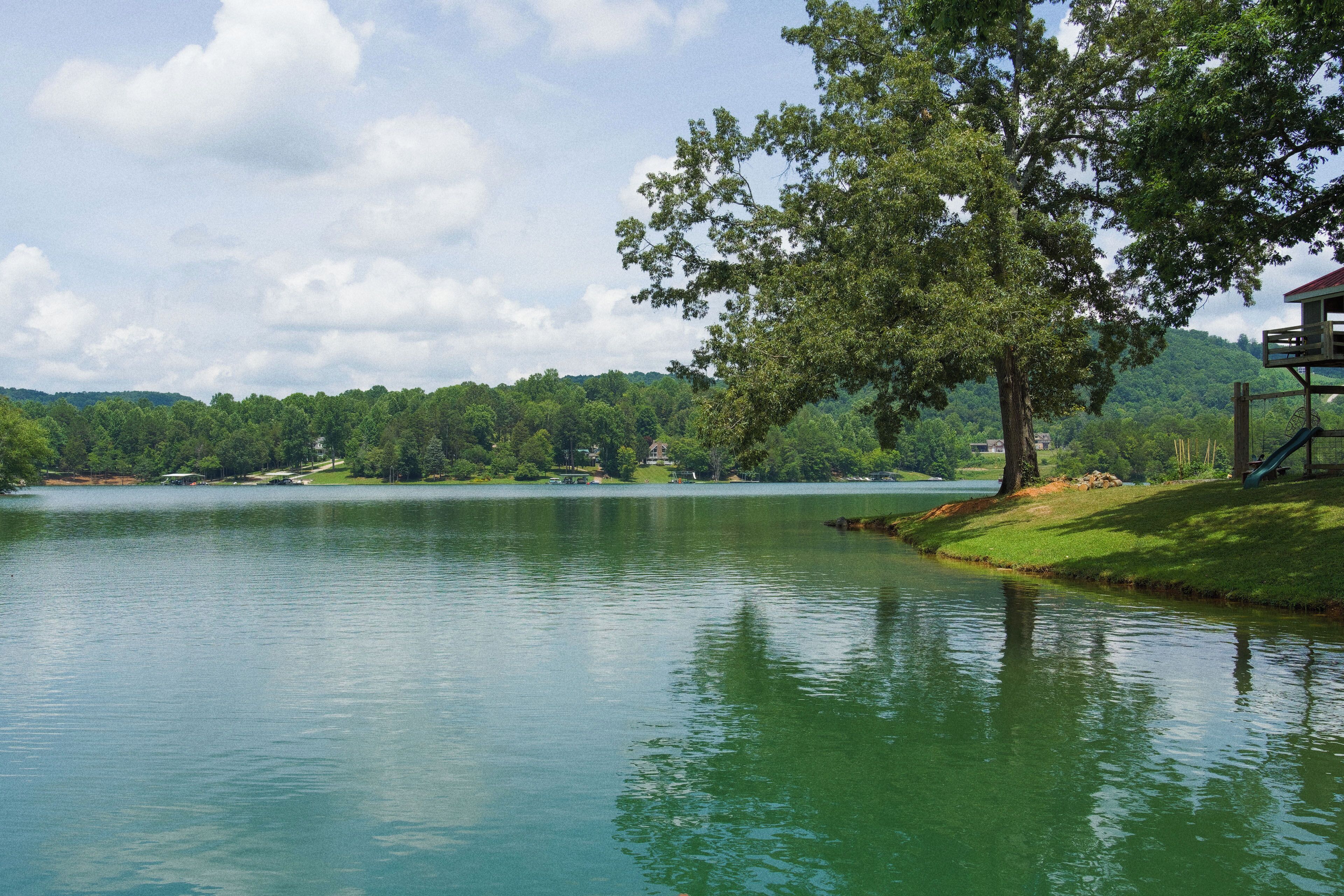 A serene lakeside view with a large tree and a wooden structure by the water.