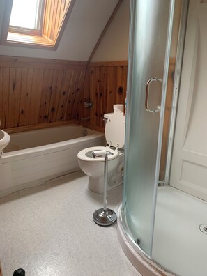 Hair dryer, towels, soap, shampoo - The “Big” Cottage (Richmond)