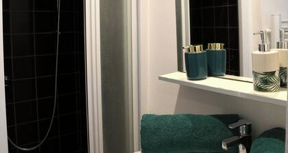 APPARTEMENT TOUT CONFORT PROCHE GARE ET TOUTE ACTIVITES