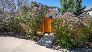A residential area with a wooden fence, a concrete pathway, and flowering bushes.
