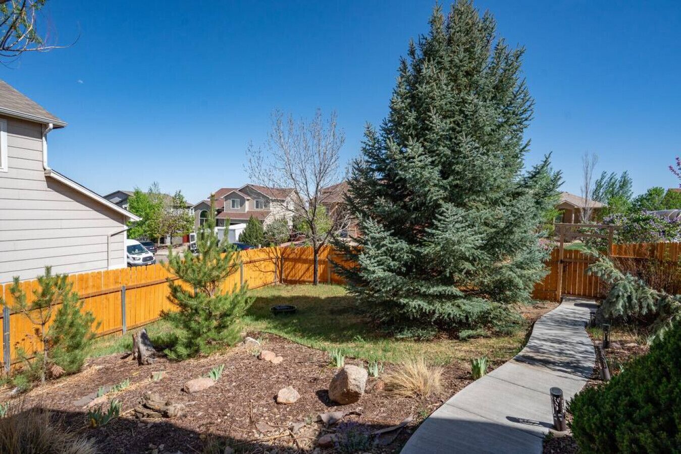 Un patio trasero residencial con cerco de madera, un gran árbol perenne y un camino pavimentado.