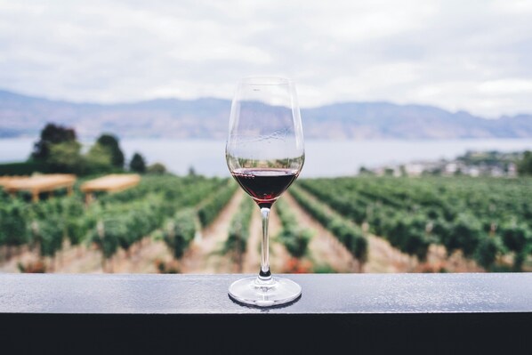 Una copa de vino en un balcón, con viñedos y montañas al fondo.