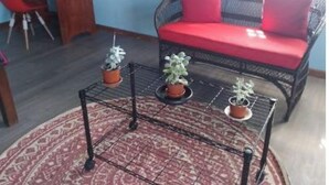 Ein gemütliches Zimmer mit einem Korbssessel, einem kleinen runden Tisch mit Blumentöpfen, einem Schreibtisch und einem Stuhl.