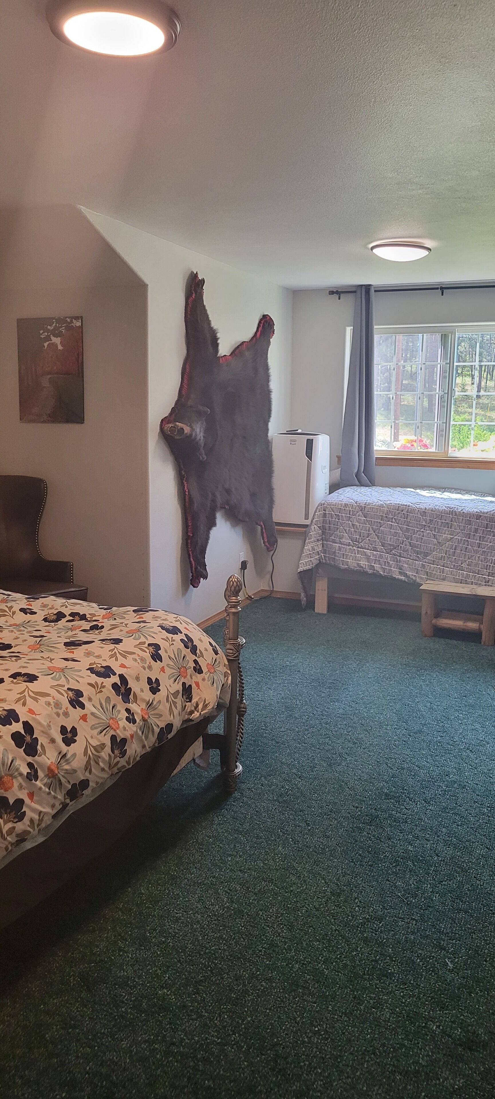 2 bedrooms, desk, iron/ironing board, travel cot