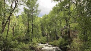 Un área boscosa con un arroyo que fluye.