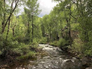 A forested area with a flowing stream. - Aspen Downtown with Patio, Fireplace, Parking, W/D (Aspen)