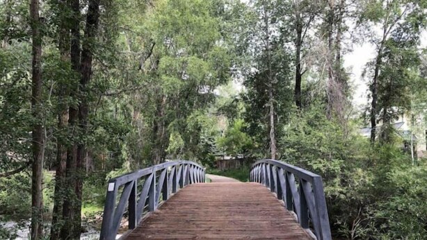 Un puente de madera con barandillas de metal en un área boscosa.