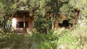 A rustic building with a wooden porch, surrounded by dense vegetation and trees.