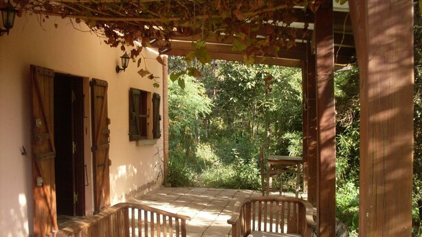 An outdoor patio with wooden furniture, a table with cups and a coffee pot, and a view of greenery.
