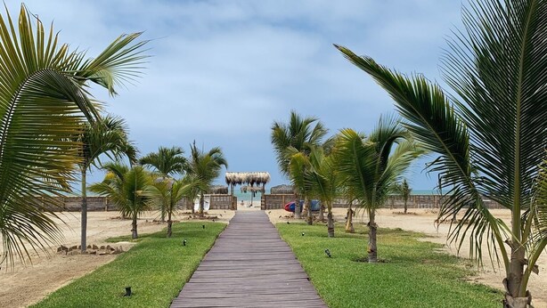 A wooden pathway leading to a beach area with palm trees and a thatched-roof structure.