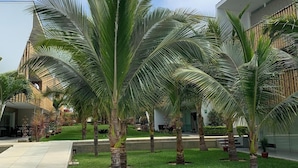 A courtyard with palm trees, a paved walkway, and a building with a modern design.