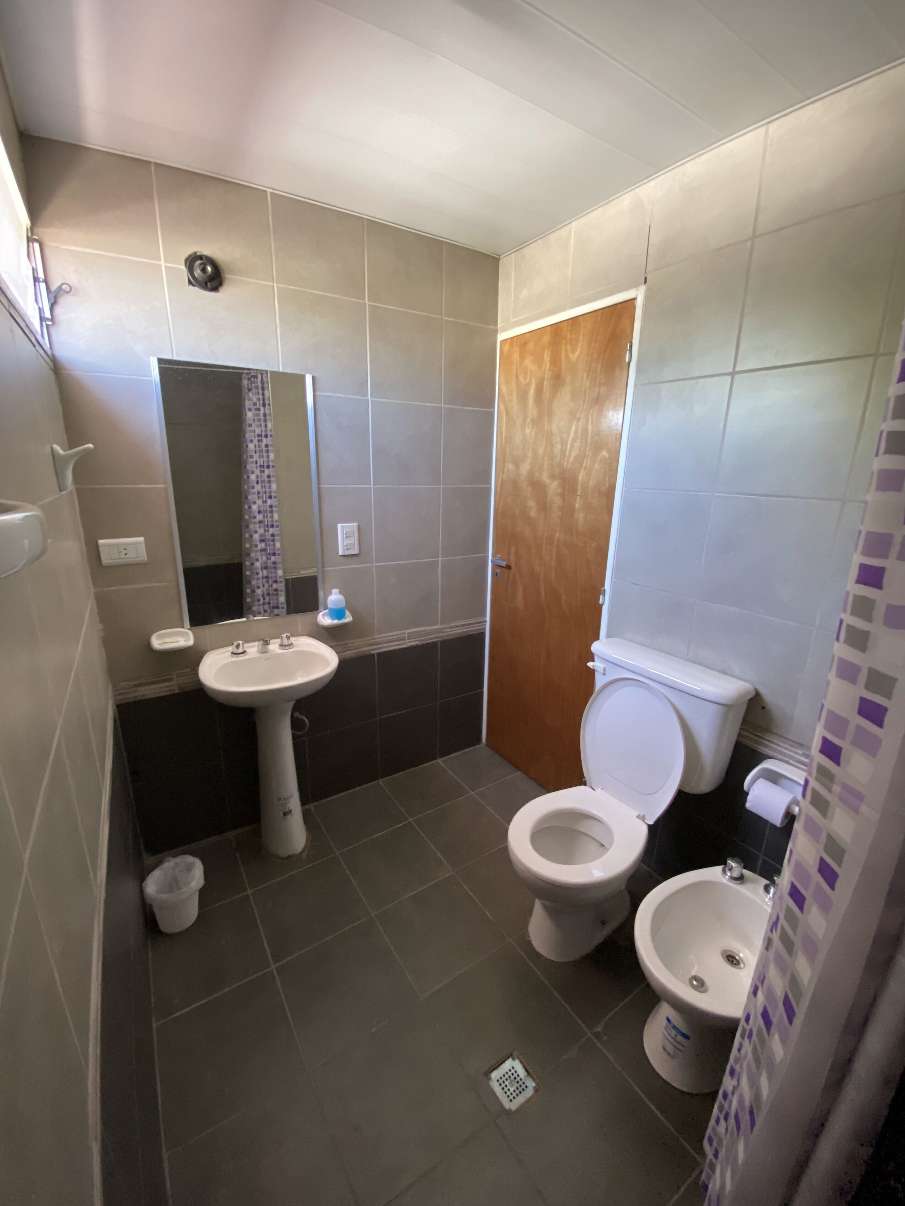 Bidé, toallas, jabón y champú