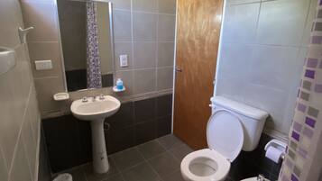 Bidé, toallas, jabón y champú