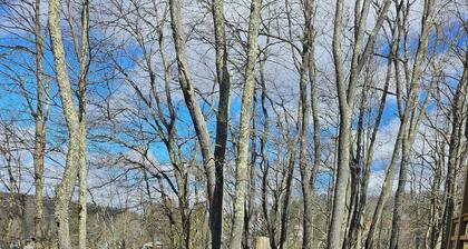 The Fox Den, 2 bdrm, walk to Purple Fiddle, near Canaan, Davis, Blackwater Falls