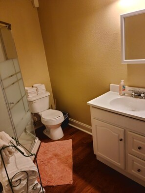Hair dryer, towels, toilet paper