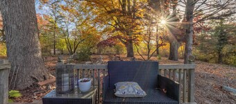 Ancient Oak Sanctuary Rural getaway, walking paths