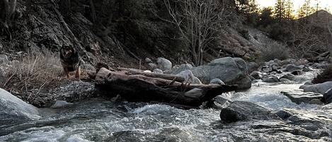 Un río serpenteando por un área boscosa con rocas y árboles.