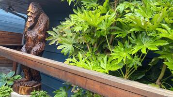 Detalle del exterior