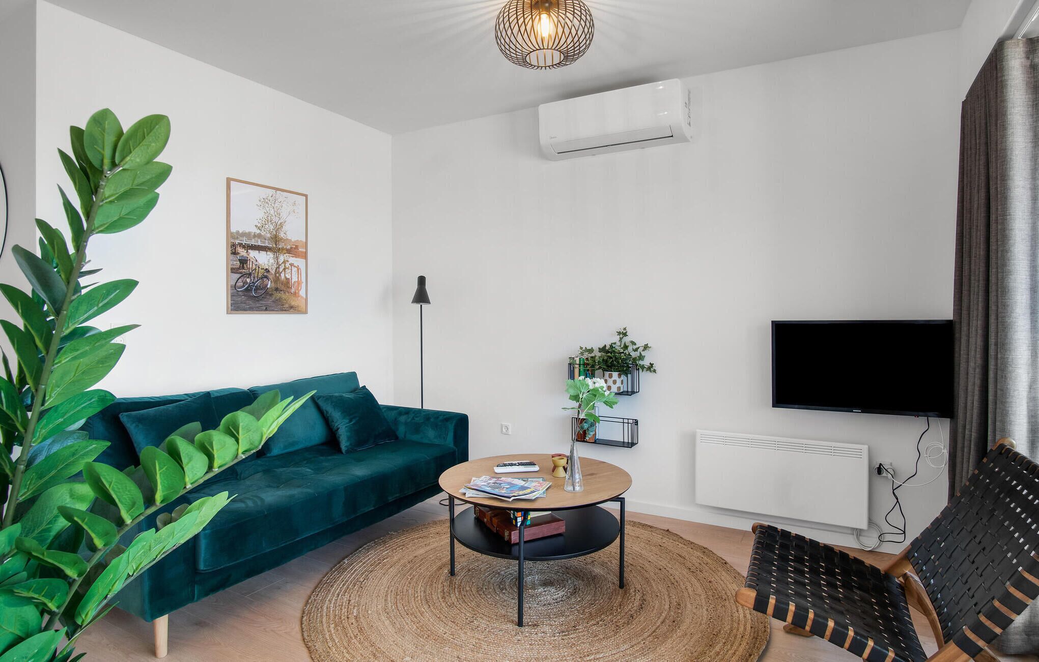 Ein modernes Wohnzimmer mit einem türkisfarbenen Sofa, einem runden Couchtisch, einem Fernseher und einer großen Pflanze.