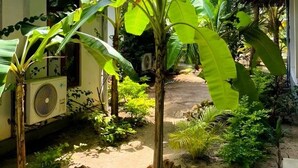 Een tropische tuin met een rieten constructie, een ventilator en diverse planten.
