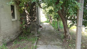 A narrow, overgrown pathway leading to a dilapidated building with a window and a door. - Casa Carmelo Spacious house with garden (Serres)