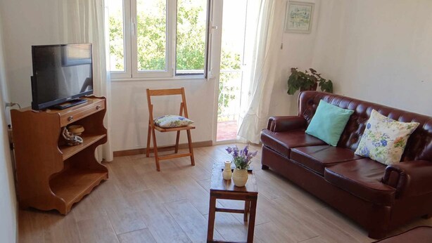 A living room with a television on a wooden stand, a brown leather sofa with floral cushions, a wooden chair, and a small table with a vase of flowers. - Casa Carmelo Spacious house with garden (Serres)