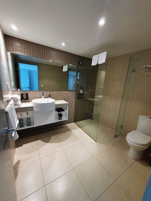 Hair dryer, towels, soap, shampoo