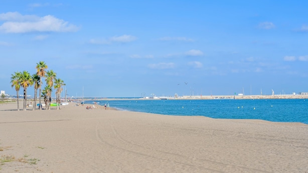 Une plage de sable fin, bordée de palmiers, sous un ciel bleu et dégagé.
