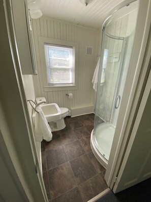 Hair dryer, towels, toilet paper
