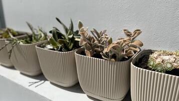 Details aan de binnenkant