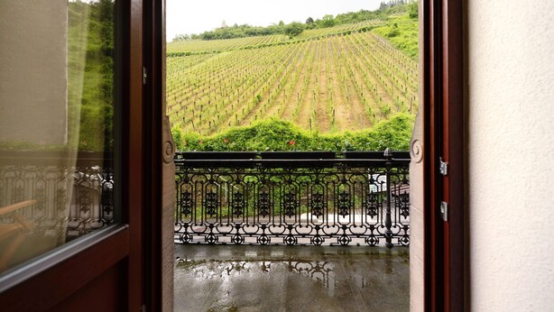 Une vue à travers une fenêtre donnant sur un vignoble avec des rangées de vignes, un balcon orné de balustrades en métal noir ouvragé et un sol mouillé.