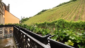 Un balcon donnant sur un vignoble situé sur une colline.