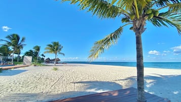 Plage, chaises longues, serviettes de plage