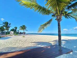 Plage, chaises longues, serviettes de plage