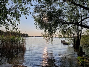 A calm lake with a dock, surrounded by trees and reeds.