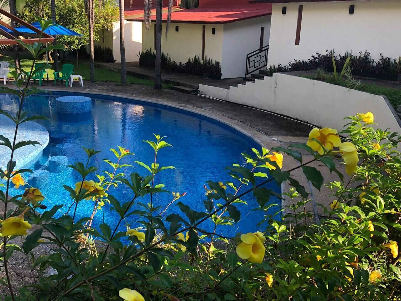 A swimming pool surrounded by greenery and a building with a red roof.
