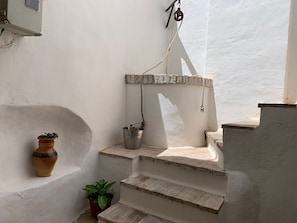 A white-walled interior with a metal bucket on a small step, a potted plant, and a wall-mounted electrical box.