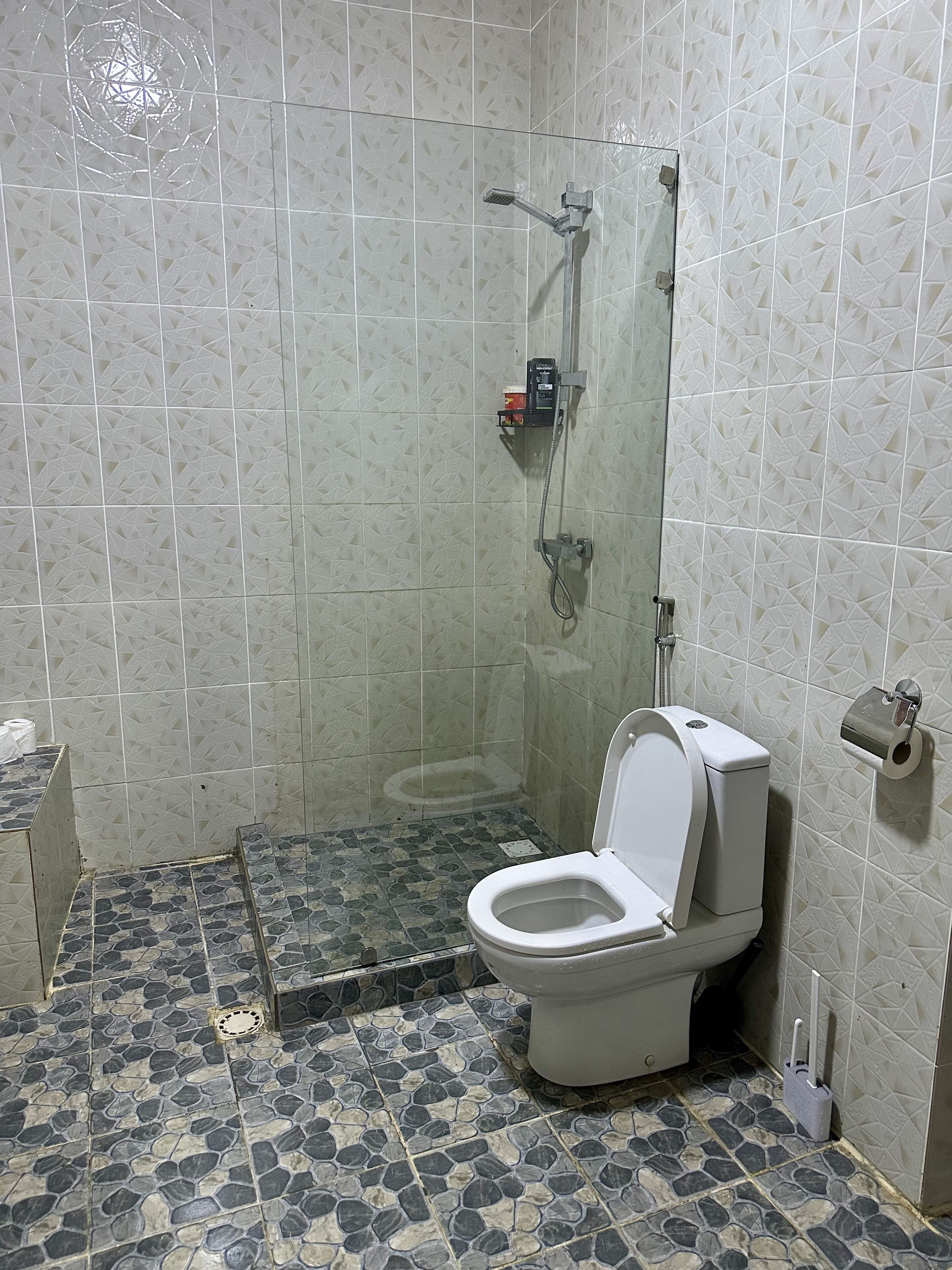 Une salle de bain avec douche, toilettes et carrelage au sol.