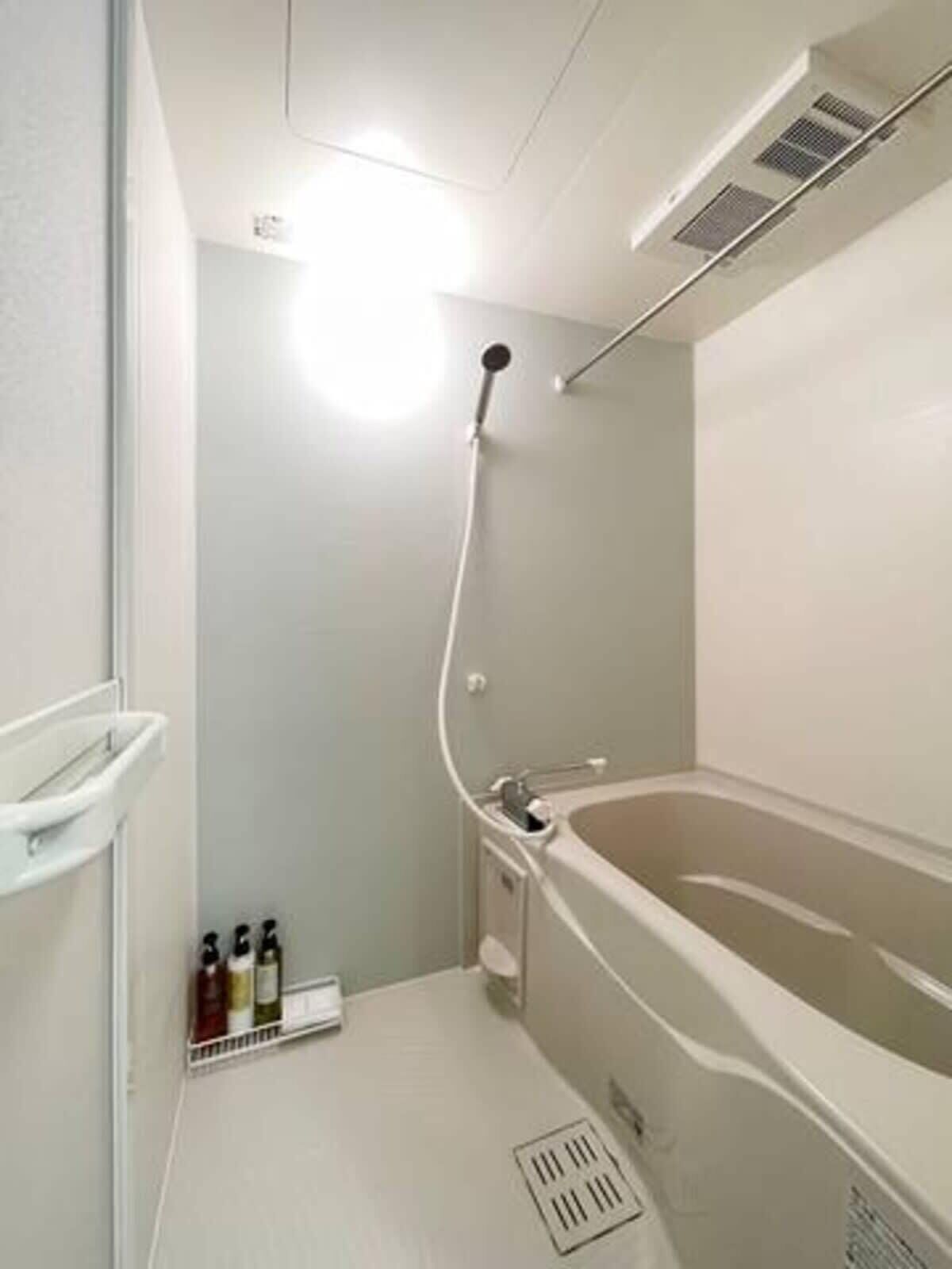Bathtub, hair dryer, towels